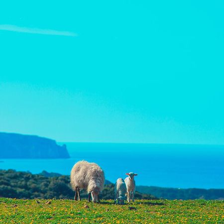 Agriturismo Il Ginepro Fluminimaggiore Buitenkant foto