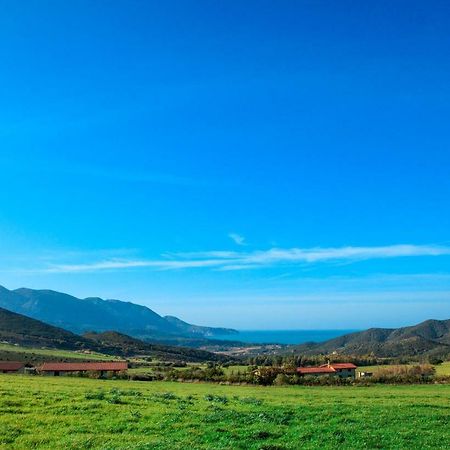 Agriturismo Il Ginepro Fluminimaggiore Buitenkant foto