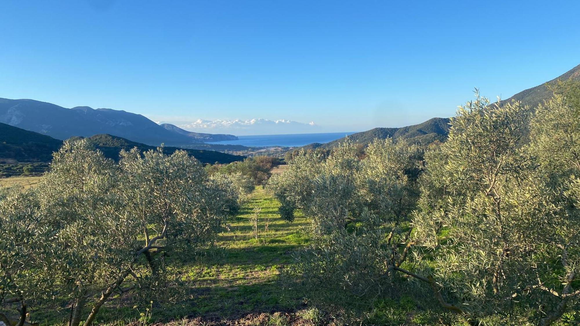 Agriturismo Il Ginepro Fluminimaggiore Buitenkant foto