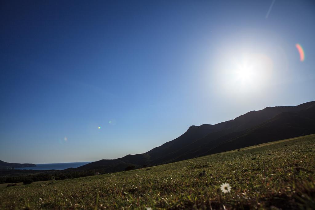 Agriturismo Il Ginepro Fluminimaggiore Buitenkant foto