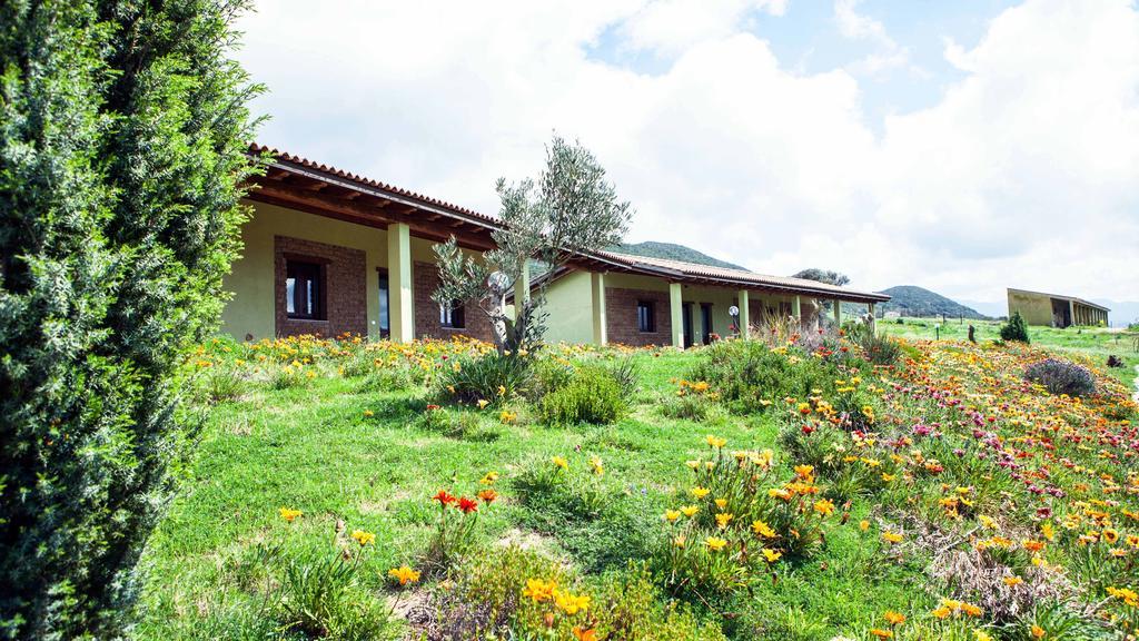 Agriturismo Il Ginepro Fluminimaggiore Kamer foto