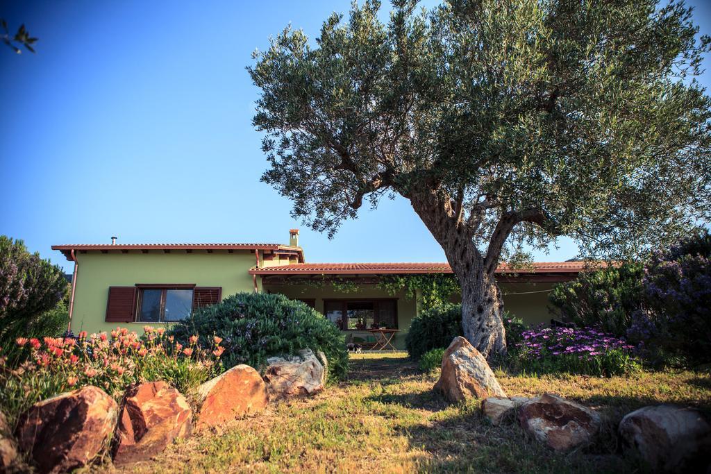 Agriturismo Il Ginepro Fluminimaggiore Buitenkant foto