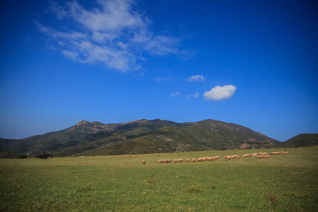 Agriturismo Il Ginepro Fluminimaggiore Buitenkant foto