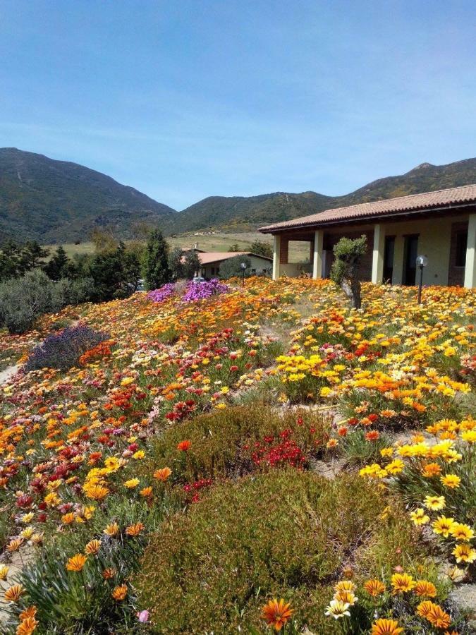 Agriturismo Il Ginepro Fluminimaggiore Buitenkant foto