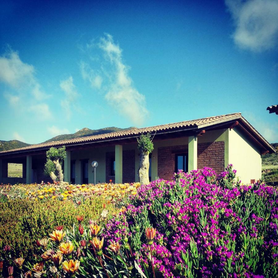 Agriturismo Il Ginepro Fluminimaggiore Buitenkant foto
