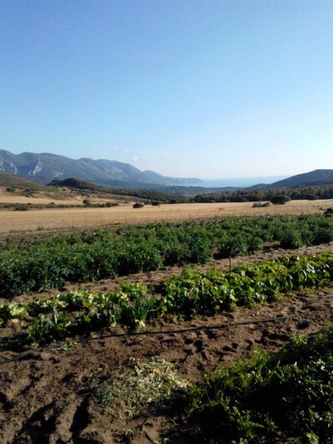 Agriturismo Il Ginepro Fluminimaggiore Buitenkant foto